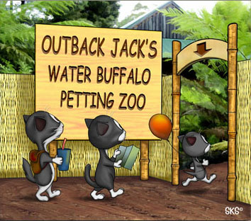 Outback Jack's