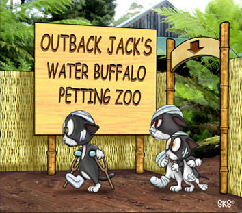 Outback Jacks