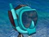 Snorkel Dude